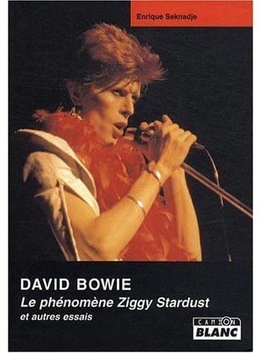 David Bowie : le phénomène Ziggy Stardust et autres essais