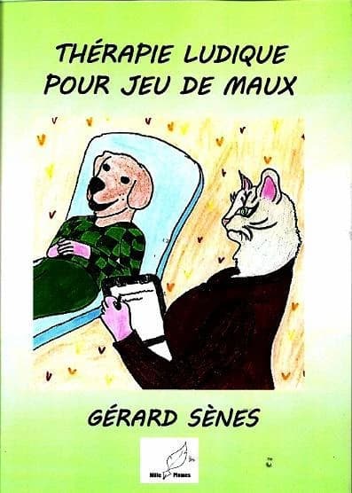Thérapie ludique pour jeu de maux