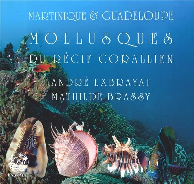 Mollusques