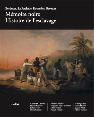 Bordeaux, La Rochelle, Rochefort, Bayonne : mémoire noire : histoire de l'esclavage