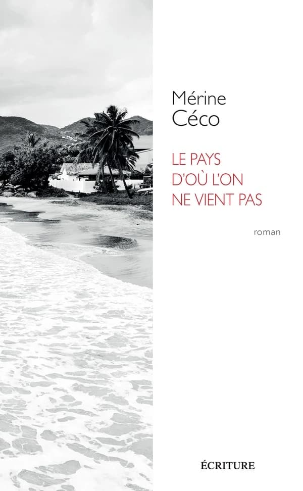 Le pays d'où l'on ne vient pas : roman