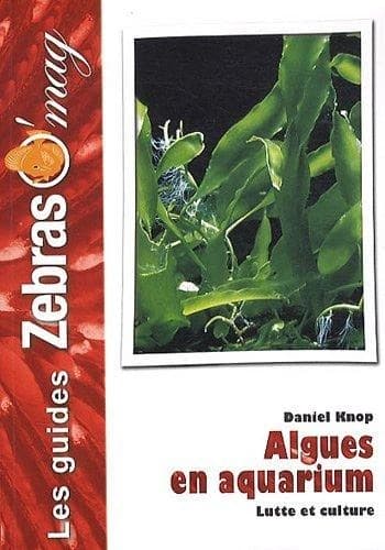 Algues en aquarium marin : les cultiver et les combattre