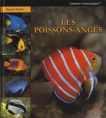 Les poissons-anges