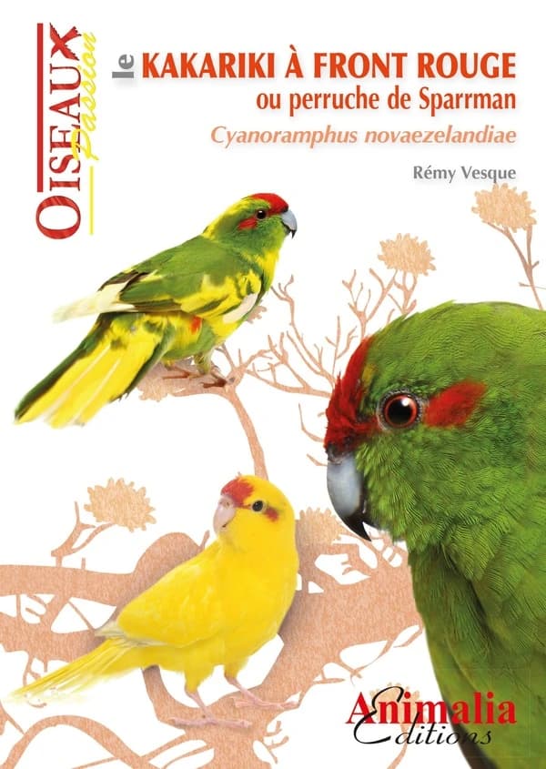 Le kakariki à front rouge ou Perruche de Sparrman : Cyanoramphus novaezelandiae