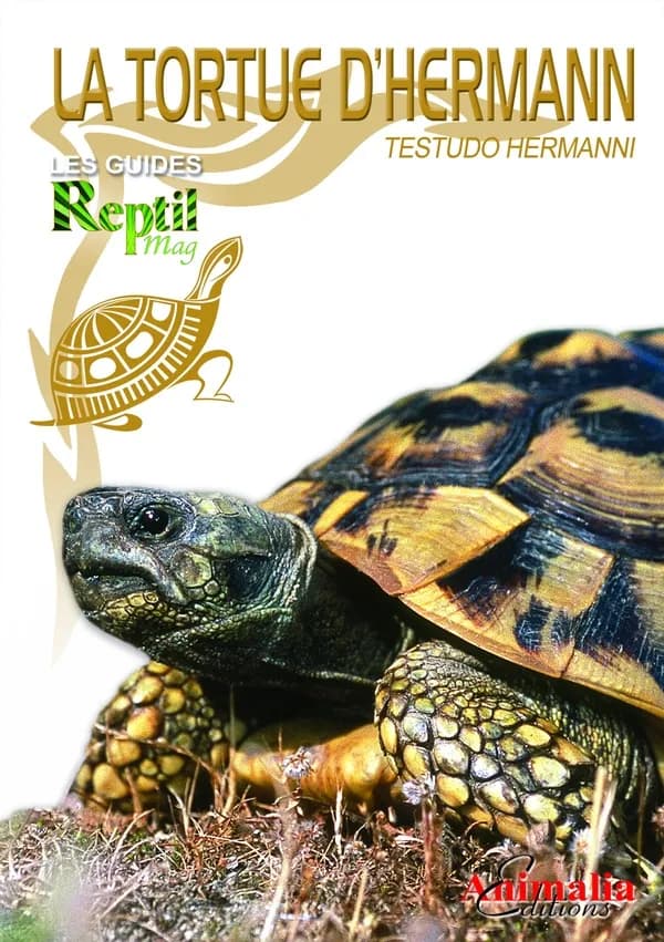La tortue d'Hermann orientale : Testudo Hermanni Boettgeri