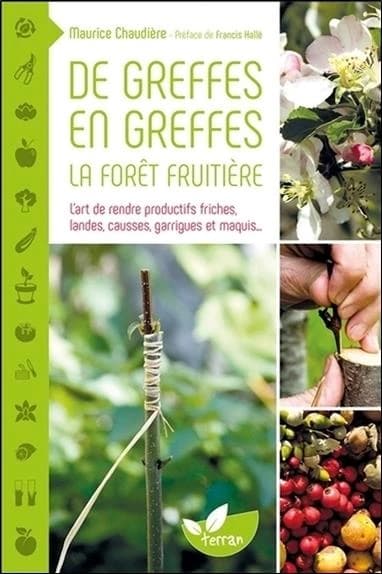 De greffes en greffes, la forêt fruitière : l'art de rendre productifs friches, landes, causses, garrigues et maquis