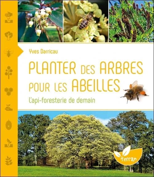 Planter des arbres pour les abeilles : L'api-foresterie de demain