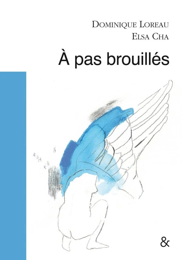 À pas brouillés
