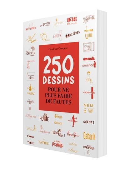250 dessins pour ne plus faire de fautes