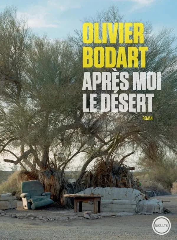 Après moi le désert : [roman]