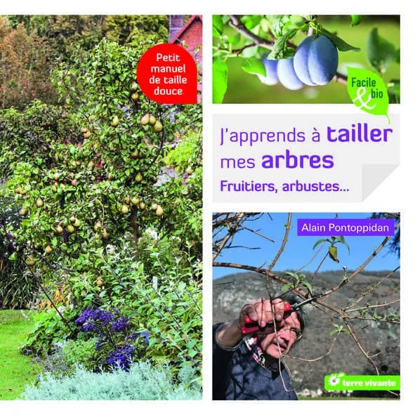J'apprends à tailler mes arbres : fruitiers, arbustes...