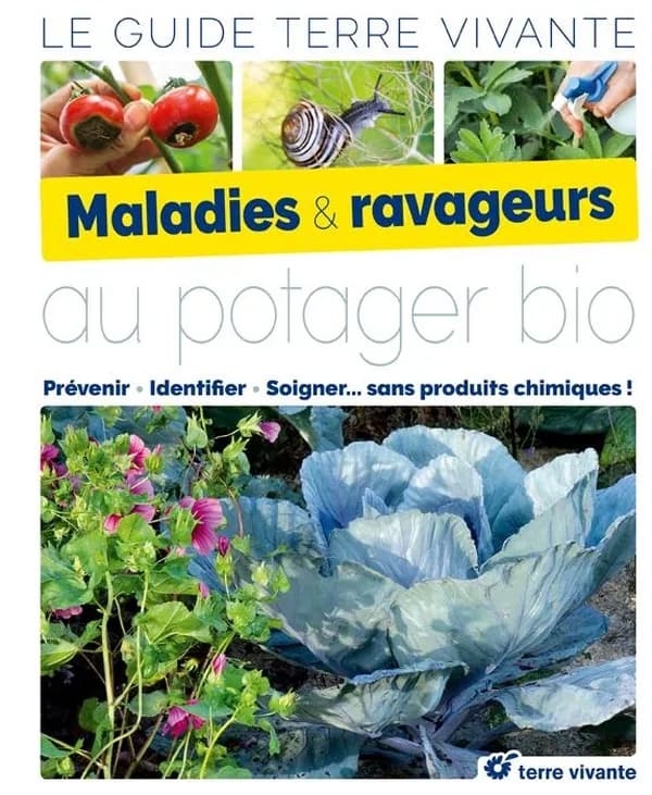 Maladies & ravageurs : au potager bio : prévenir, identifier, soigner, sans produits chimiques !