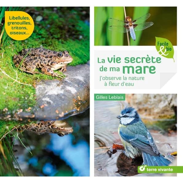La vie secrète de ma mare : j'observe la nature à fleur d'eau