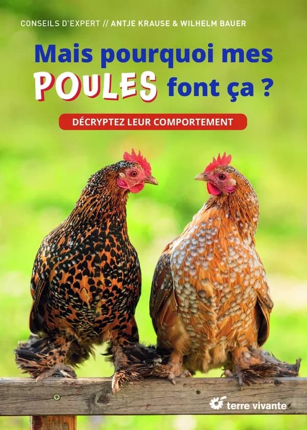 Mais pourquoi mes poules font ça ? : décryptez leur comportement