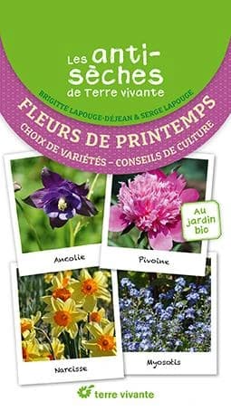 Fleurs de printemps : choix de variétés, conseils de culture