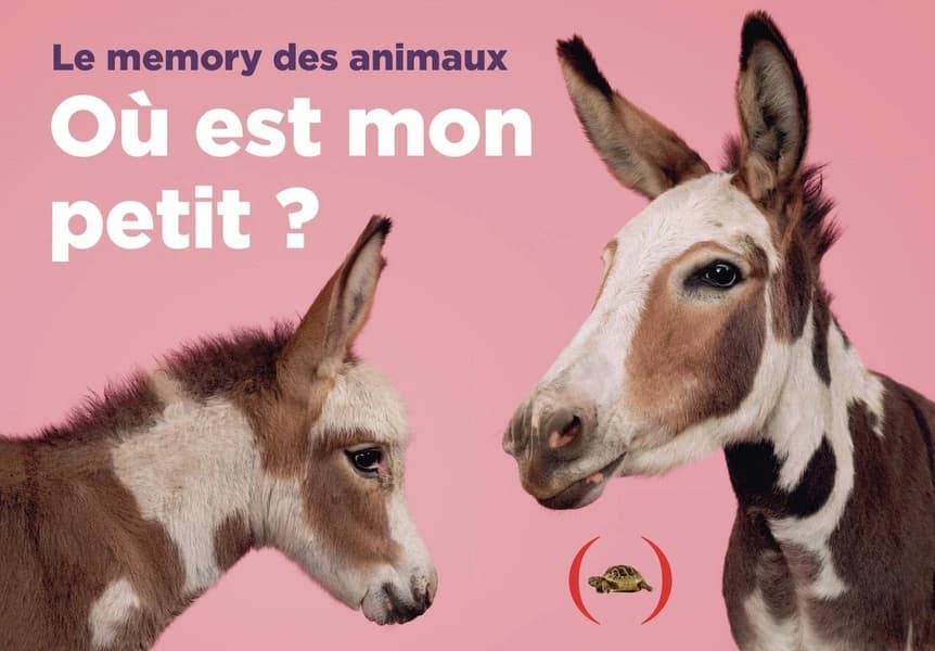 Où est mon petit ? Le memory des animaux