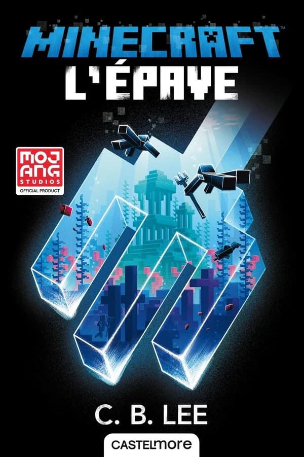 Minecraft : l'épave
