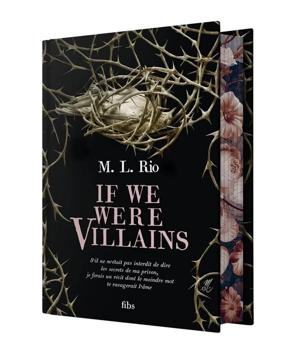 If We Were Villains