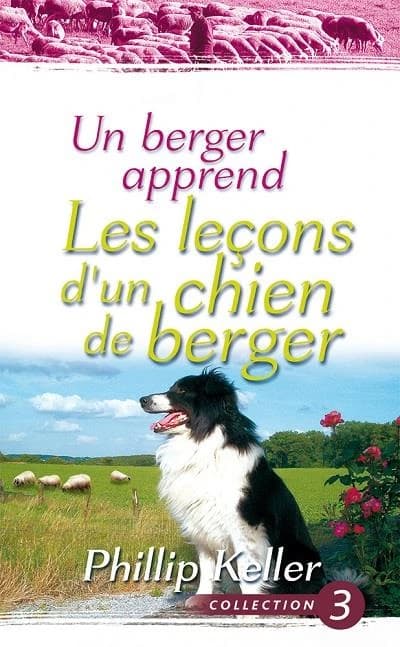 Un berger apprend : les leçons d'un chien de berger