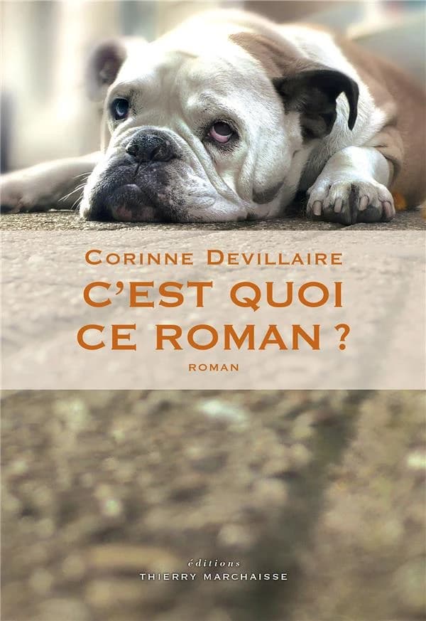 C'est quoi ce roman ? : roman