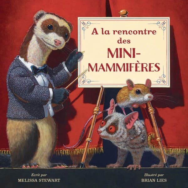 À la rencontre des mini-mammifères