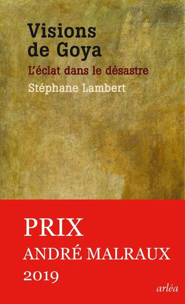 Visions de Goya : l'éclat dans le désastre