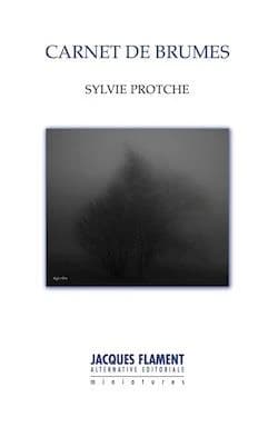 Carnet de brumes