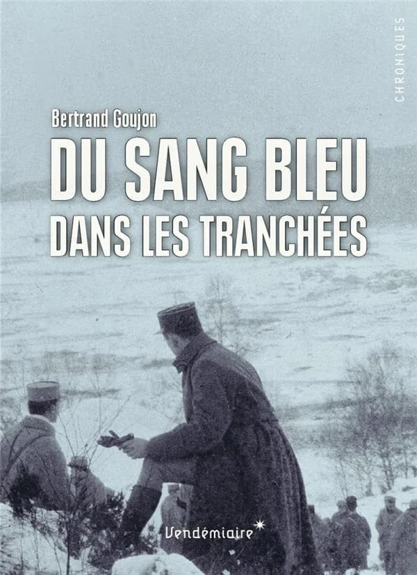 Du sang bleu dans les tranchées : expériences militaires de nobles français durant la Grande guerre