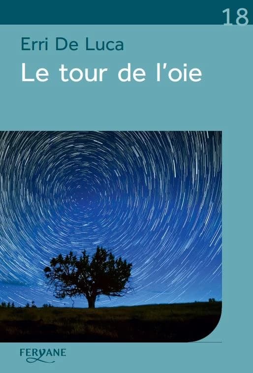 Le tour de l'oie (Éd. en gros caractères) Erri de Luca ; traduit de l'italien par Danièle Valin