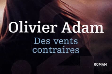 Des vents contraires : roman