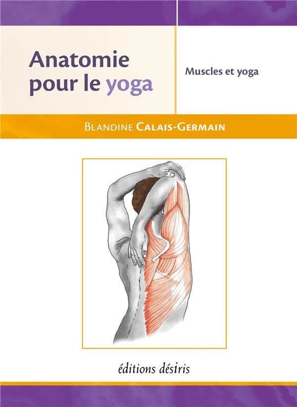 Anatomie pour le yoga : les muscles dans le yoga
