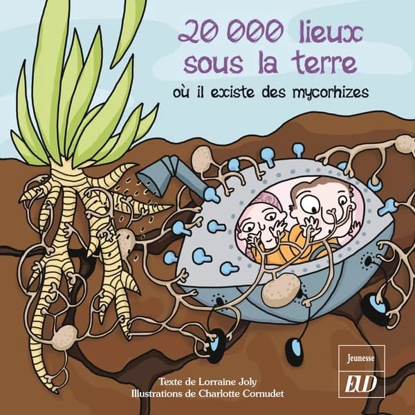 20000 lieux sous la terre où il existe des mycorhizes