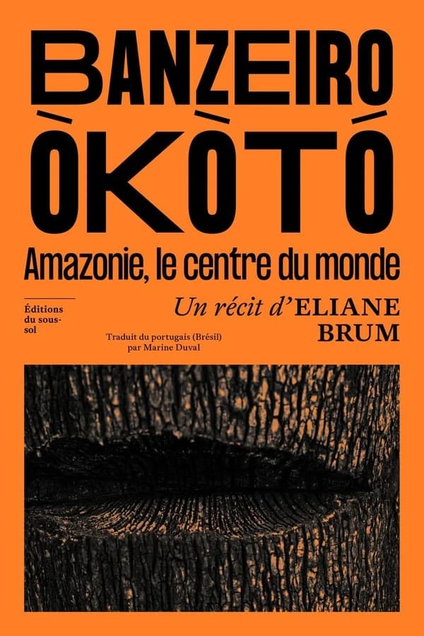 Banzeiro Òkòtó : Amazonie, le centre du monde