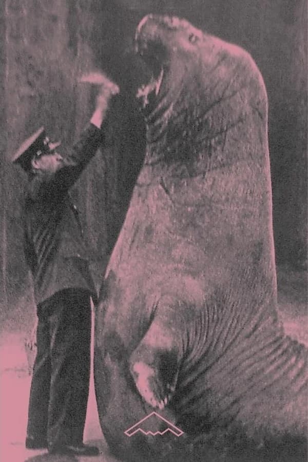 Trois zoos humains