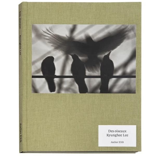 Des oiseaux