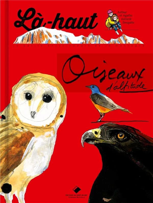 Oiseaux d'altitude