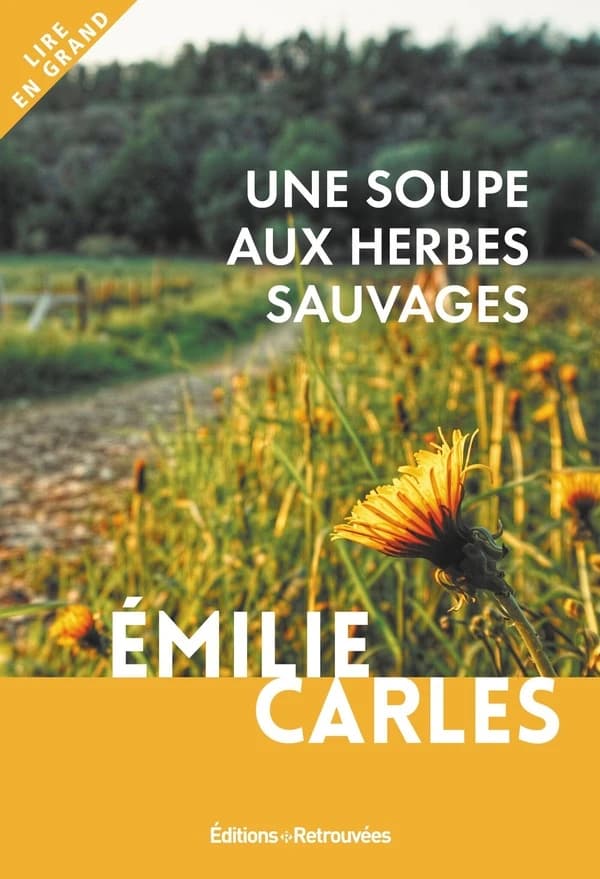 Une soupe aux herbes sauvages ([Éd. en gros caractères]) Émilie Carles ; propos recueillis par Robert Destangue