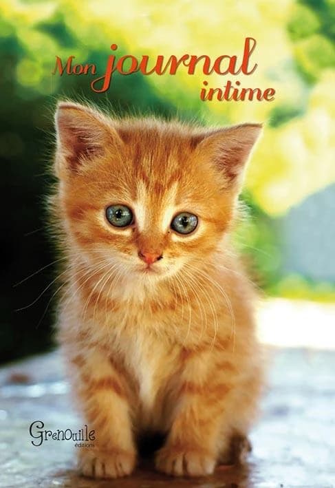 Journal intime chats
