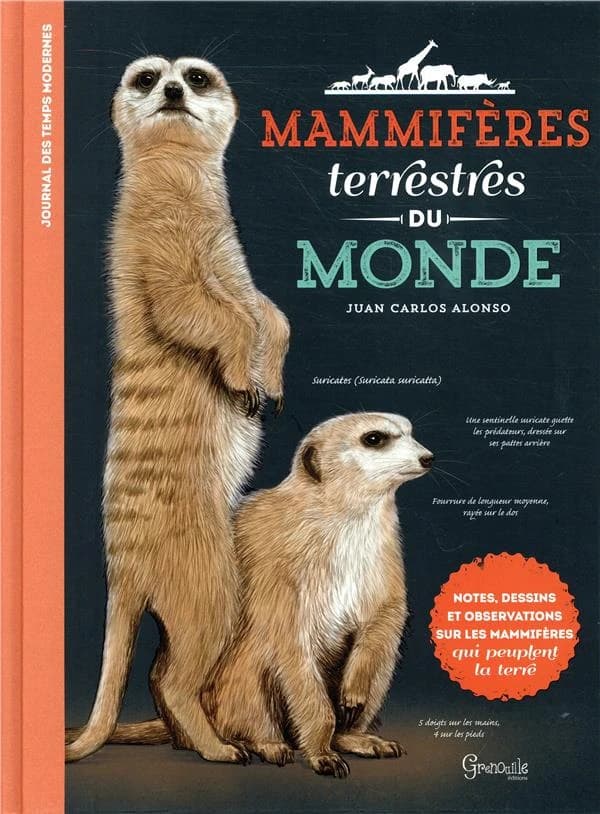 Mammifères terrestres du monde