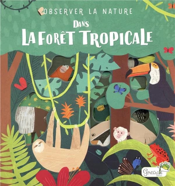 Dans la forêt tropicale