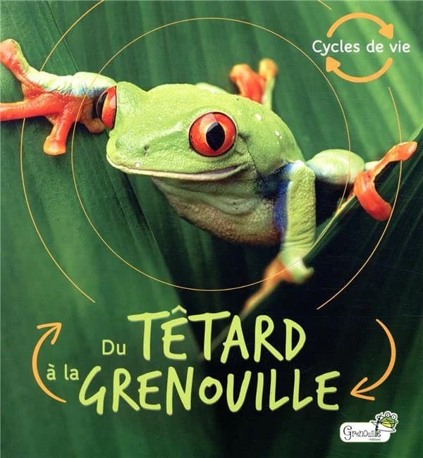 Du têtard à la grenouille