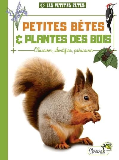 Petites bêtes & plantes des bois : observer, identifier, préserver