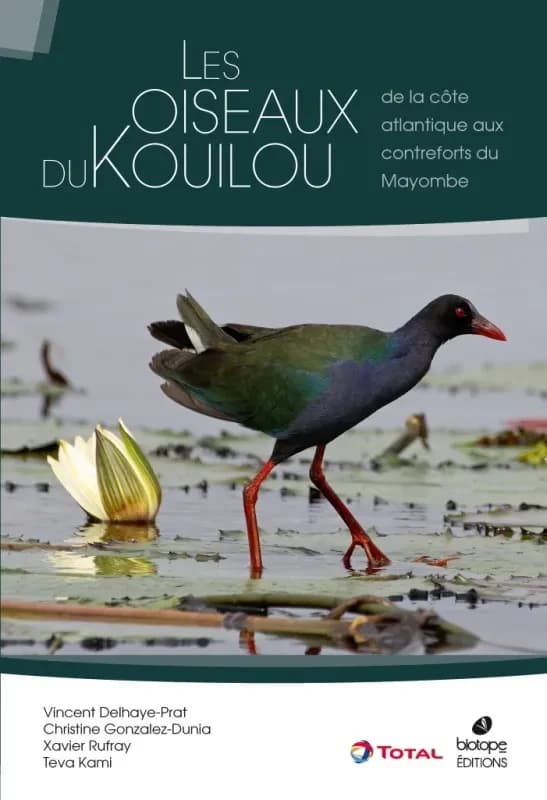 Les oiseaux du Kouilou de la côte atlantique aux contreforts du Mayombe