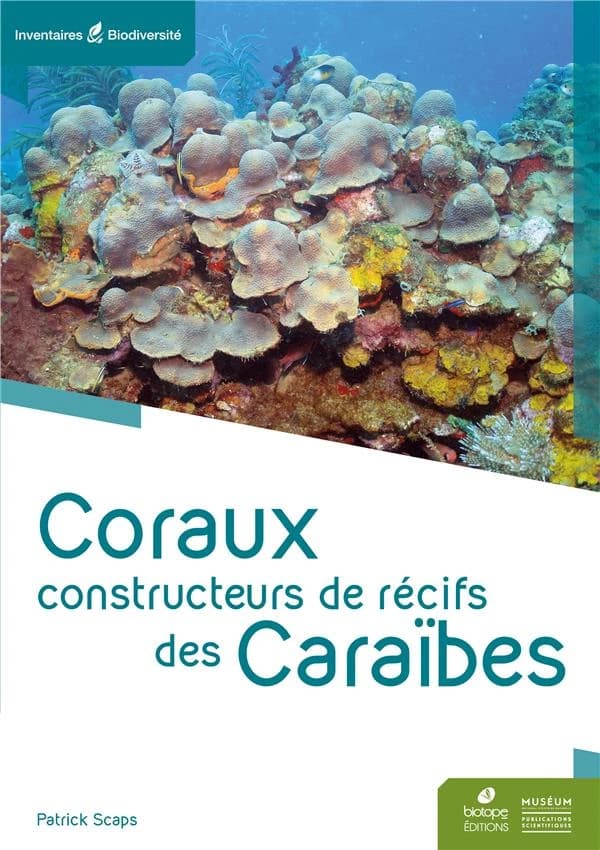 Coraux constructeurs de récifs des Caraïbes