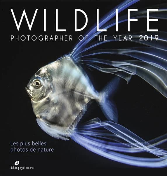Wildlife Photographer of the Year 2019 : Les plus belles photos de nature