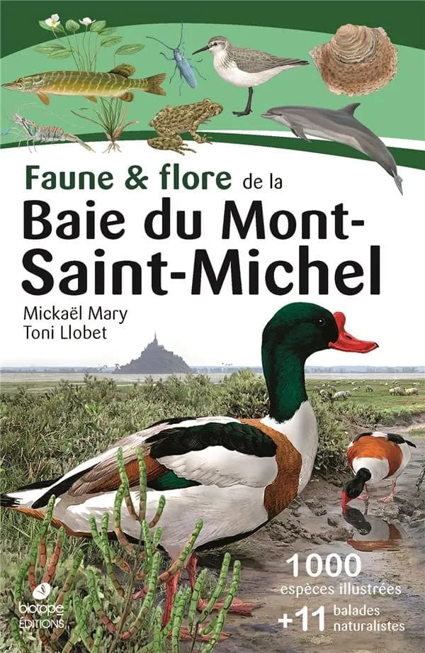 Faune & flore de la baie du Mont-Saint-Michel