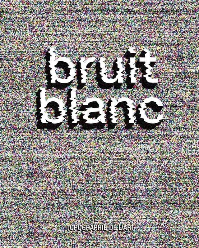 Bruit blanc : Jean-Louis Costes, Arrington de Dionyso, Julien Langendorff, Rainier Lericolais, Fanny Michaëlis, Xavier Mussat, Jim Sanders, David Shrigley, Sindre Foss Skancke, Tetsunori Tawaraya, Jean-Luc Verna, Mathieu Weiler : [exposition, Paris, Espac