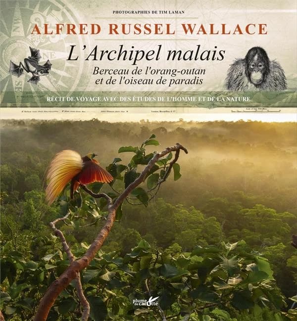 L'archipel malais: berceau de l'orang-outan et de l'oiseau de paradis, récit de voyage avec des études de l'homme et de la nature
