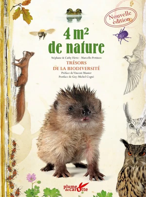 4 m2 de nature : trésors de la biodiversité ([Nouvelle éd.]) Stéphane et Cathy Hette, Marcello Pettineo ; préface de Vincent Munier ; postface de Guy-Michel Cogné
