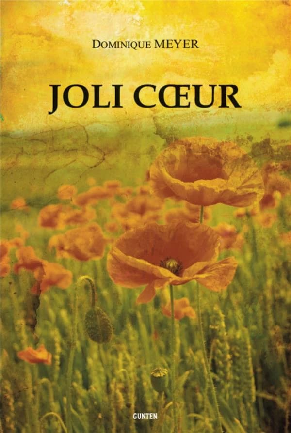 Joli coeur : roman